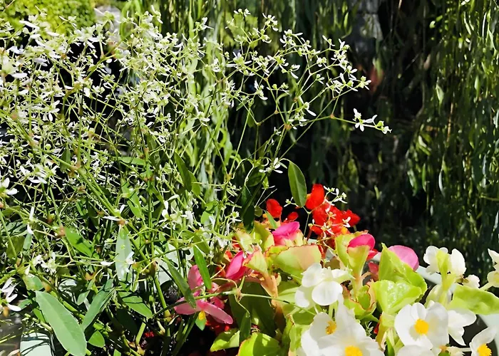 Moulin De La Forge Les Arques