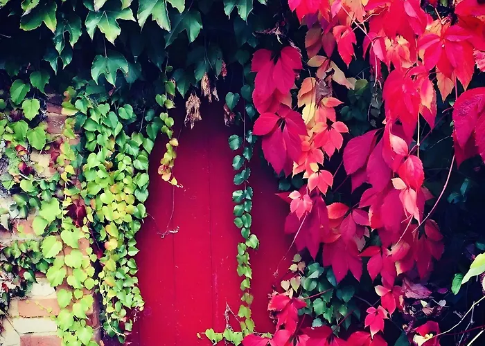 Moulin De La Forge Dom wakacyjny Les Arques